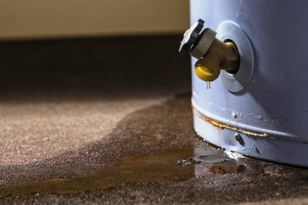 Best Fire Damage Restoration  in Manchester, TN
