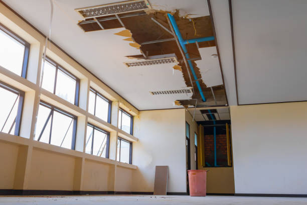 Best Professional water damage repair  in Manchester, TN