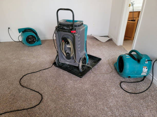 Best Flooded house restoration  in Manchester, TN