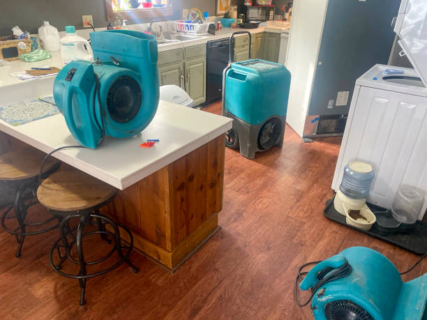 Best 24/7 water damage repair  in Manchester, TN