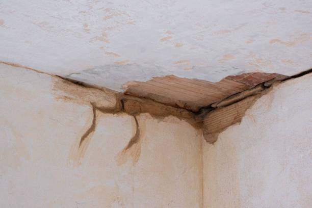 Best Carpet water damage restoration  in Manchester, TN