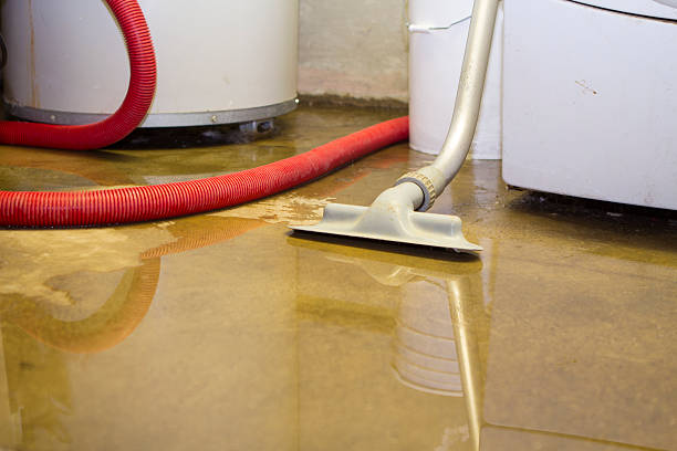Best Basement water damage restoration  in Manchester, TN