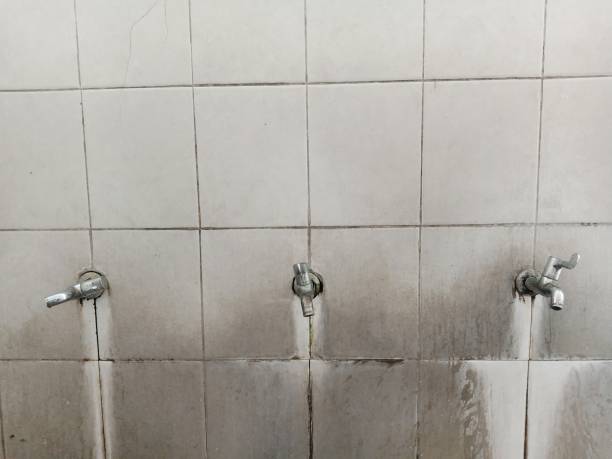 Reliable TN Water damage restoration Solutions