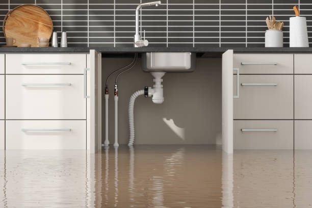 Best Sewage cleanup and water damage restoration  in Manchester, TN